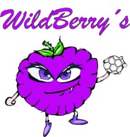 hb_frauen_wildberrys_grafik Wildberrys