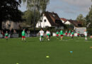 Workshop Walking Football